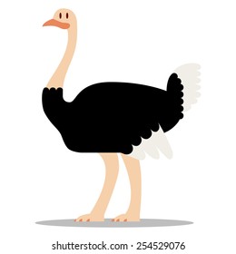 Vector Cartoon Ostrich Isolated On Blank Background