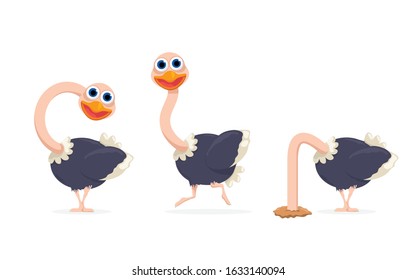 vector cartoon ostrich set isolated on white background