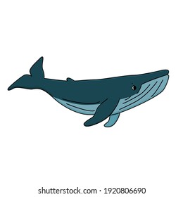 Vector Cartoon outline cute blue whale. Graphic, poster design, t-shirt design, invitations, books, greeting cards, post. Animal is isolated on white background