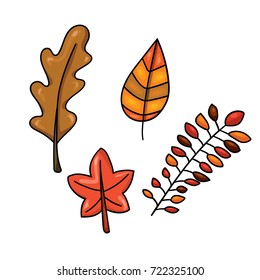 Vector cartoon outlined hand drawn doodle tree leaves color illustration set. Autumn leaves collection