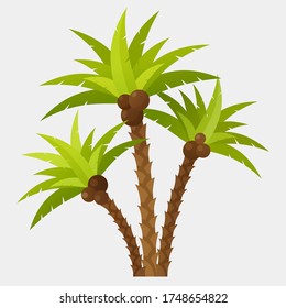 Vector cartoon palm tree isolated on white background.