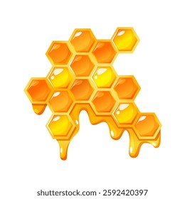 Vector cartoon picture of honeycomb structure isolated on white background.