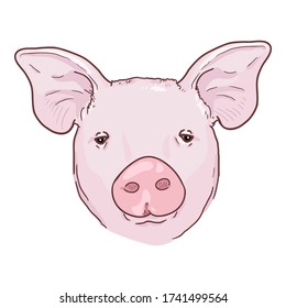 Vector Cartoon Pig Face Front View Stock Vector (Royalty Free ...