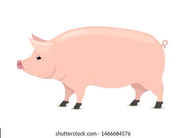 Vector cartoon pig, farm animal, design element for butchery, meat shop and other.
