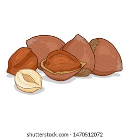 Vector Cartoon Pile of Hazelnuts
