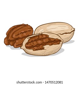 Vector Cartoon Pile of Pecan Nuts