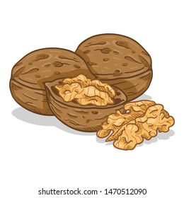 Vector Cartoon Pile of Walnuts