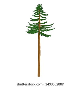 Vector Cartoon Pine Tree with Long Trunk
