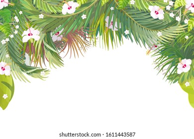vector cartoon plant border background on white