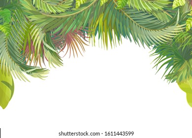 vector cartoon plant border background on white