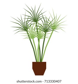 Vector Cartoon Plant Isolated On White Background