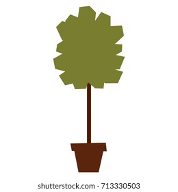 Vector Cartoon Plant Isolated On White Background