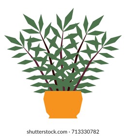 Vector Cartoon Plant Isolated On White Background
