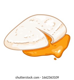 Vector Cartoon Poached Egg Illustration