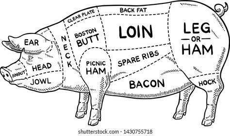 Vector Cartoon Pork Meat Cuts Diagram Line Art