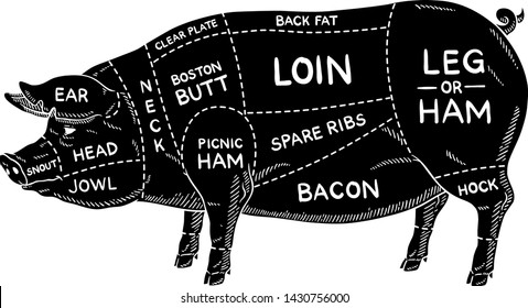 Vector Cartoon Pork Meat Cuts Diagram in Black