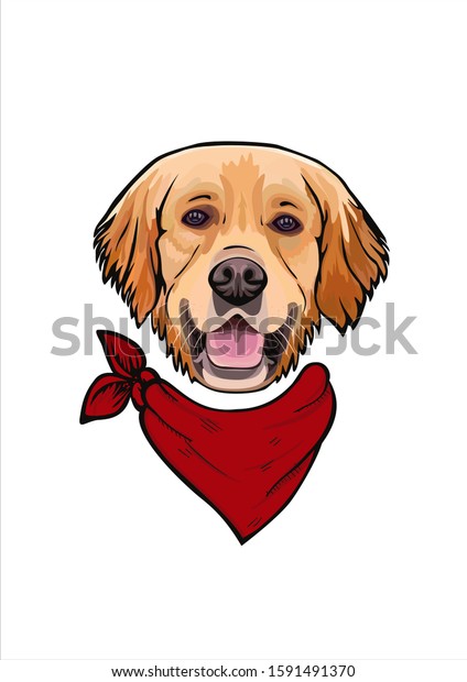Vector cartoon portrait sketch drawing of a\
smiling yellow dog breed Golden Retriever in nice bandana around\
his neck.Hipster doggy head face with red neckerchief isolated on\
white background.