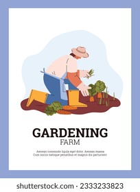 Cartel vectorial con granjero vestido de trabajo maleza una cama de jardín con zanahorias. Cultivar la tierra en la huerta para una mejor ilustración de la cosecha sobre fondo blanco en marco azul