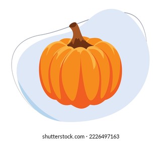 vector cartoon pumpkin fruit for education about fruits and vegetables. flat design vector