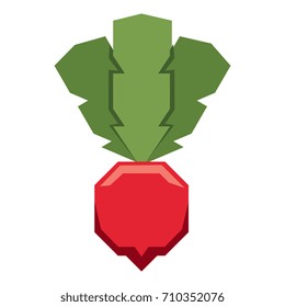 Vector Cartoon Radish Isolated On White Background