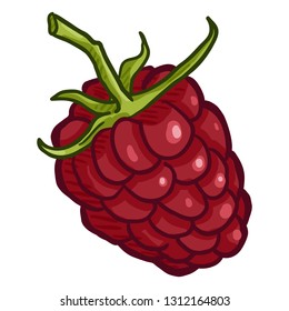 Vector Cartoon Raspberry Illustration Stock Vector (Royalty Free ...