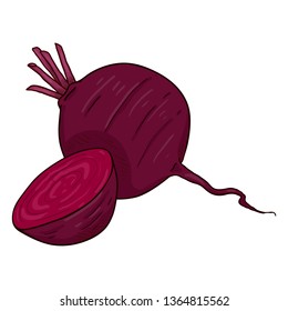 Vector Cartoon Red Beetroot Illustration