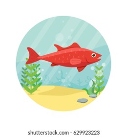 Vector cartoon red fish.
