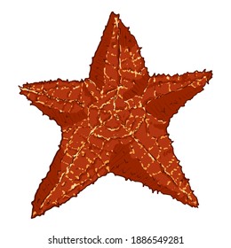 Ilustración del pez estrella rojo vectorial