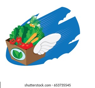 a vector cartoon representing a winged carton package full of fresh vegetables and fruit flying and landing - online order and very fast shipping concept