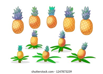 vector cartoon ripe pineapple fruit icons set