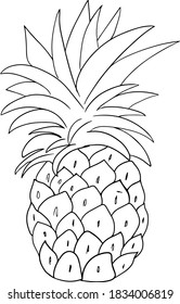 Vector Cartoon Ripe Pineapple Line Art.Hand drawn sketch of Pineapple isolated, Black and White Cartoon Vector Illustration for Coloring Book