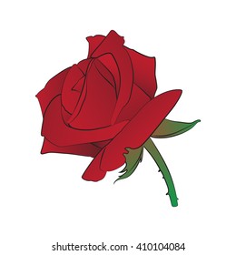 Vector cartoon rose on white background.