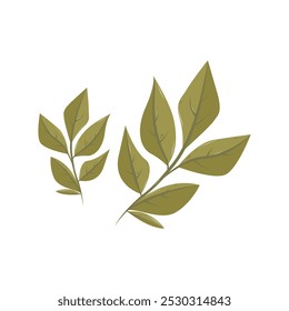 Vector cartoon rowan leaf. Isolated illustration for card, postcard, cover. EPS 10