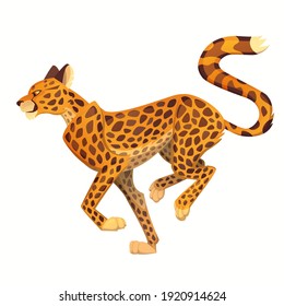 Vector cartoon running cheetah. Big wild cat isolated on white background. Side view zoo illustration of the fastest mammal animal.