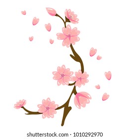 Vector cartoon sakura spring flower illustration