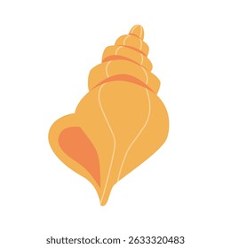 Vector cartoon sea shells on isolated white background. Tropical beach shell.