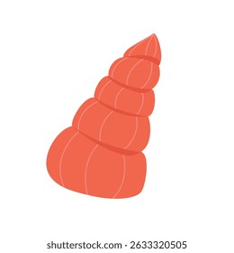 Vector cartoon sea shells on isolated white background. Tropical beach shell.