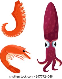 vector cartoon seafood of shrimp, octopus and squid on white background