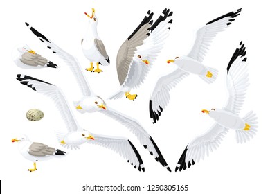 vector cartoon seagull sea gull cliparts set