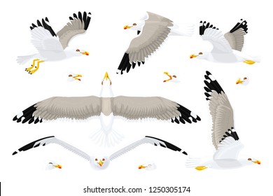 vector cartoon seagull sea gull cliparts set