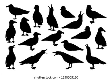 vector cartoon seagull sea gull cliparts set