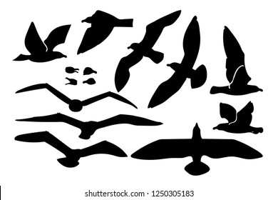 vector cartoon seagull sea gull cliparts set