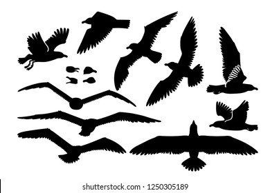 vector cartoon seagull sea gull cliparts set