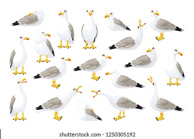 vector cartoon seagull sea gull cliparts set