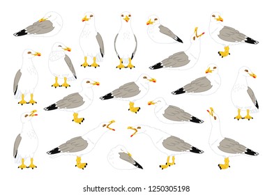 vector cartoon seagull sea gull cliparts set