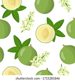 Vector cartoon seamless pattern with Casimiroa edulis or white sapota exotic fruits, flowers and leafs on white background for web, print, cloth texture or wallpaper
