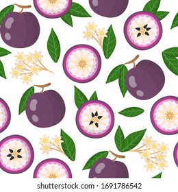 Vector cartoon seamless pattern with Chrysophyllum cainito or purple star apple exotic fruits, flowers and leafs on white background for web, print, cloth texture or wallpaper