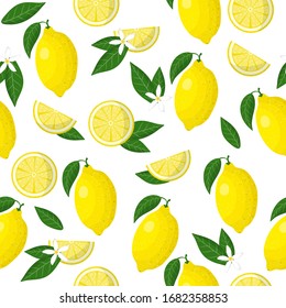 Vector cartoon seamless pattern with Citrus limon or Lemon exotic fruits, flowers and leafs on white background for web, print, cloth texture or wallpaper.