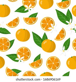 Calamansi Stock Vectors, Images & Vector Art | Shutterstock