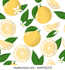 Cartoon Vektorillustration nahtlos Muster mit Citrus grandis Citrus paradisi oder Citrus Sweetie exotische Früchte, Blumen und Blätter auf weißem Hintergrund für Web, Druck, Stoffstruktur oder Tapete.